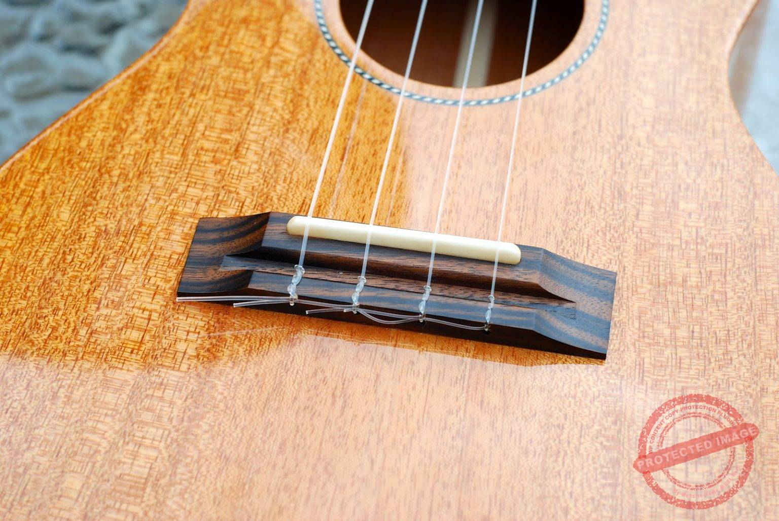 Tuning Your Ukulele to Low G Ukulele World